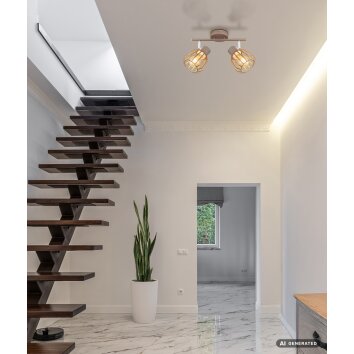 Globo Olin faretto da soffitto rotondo a 2 luci moderno con paralumi gabbia E27