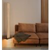 Globo Hayden lampada da terra LED piantana moderna 140 cm 3000 K 3600 lm 36 W