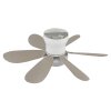 Globo Delores LED ventilatore da soffitto con luce e telecomando, diametro 51 cm