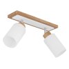 Globo Rowena plafoniera lampada da soffitto 2 luci E27 moderna per cucina