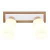 Globo Rowena plafoniera lampada da soffitto 2 luci E27 moderna per cucina