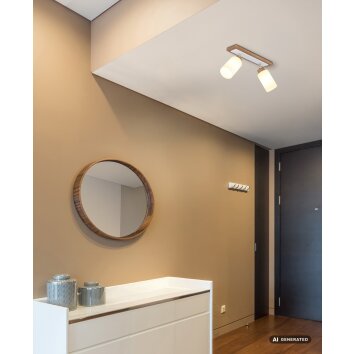 Globo Rowena plafoniera lampada da soffitto 2 luci E27 moderna per cucina