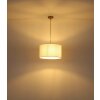 Globo Truett lampada a sospensione moderna per sala da pranzo rotonda 40 cm E27