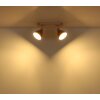 Globo Lyndon plafoniera spot da soffitto a 2 luci E14 moderna altezza 19 cm