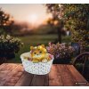 Globo Kotir lampada solare LED da esterno gatto nel cestino dei fiori decorativa