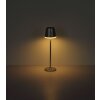 Globo VANNIESO lampada solare da tavolo per esterno moderna LED 3000 K 50 lm 6 W