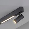 SCHÖNER WOHNEN-Kollektion DANTE spot da soffitto moderno a 2 faretti orientabili GU10