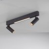 SCHÖNER WOHNEN-Kollektion DANTE spot da soffitto moderno a 2 faretti orientabili GU10