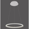 SCHÖNER WOHNEN-Kollektion QUILLO lampada a sospensione ad anello LED 60 cm moderna