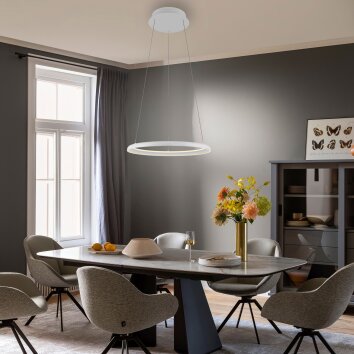 SCHÖNER WOHNEN-Kollektion QUILLO lampada a sospensione ad anello LED 60 cm moderna