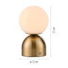 SCHÖNER WOHNEN-Kollektion RUDI lampada da tavolo LED sferica con interruttore touch