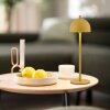 SCHÖNER WOHNEN-Kollektion BELLIS lampada da tavolo LED moderna regolabile