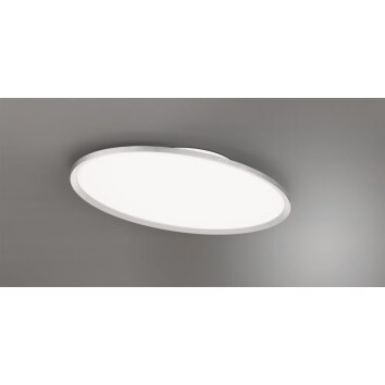 Trio Leuchten Plafoniera LED ovale moderna in titanio, 6500 Kelvin luce diurna