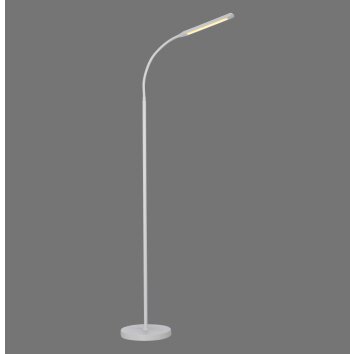 Paul Neuhaus lampada da terra LED ELLY regolabile, temperatura colore regolabile 3000 Kelvin