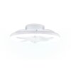 Reality plafoniera ventilatore LED Pajala, temperatura di colore regolabile 2700-6500 Kelvin