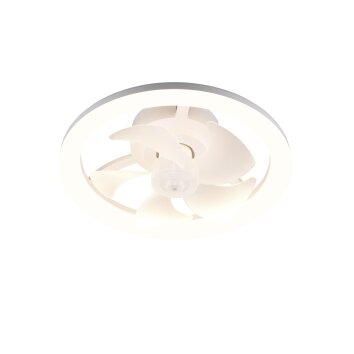 Reality plafoniera ventilatore LED Pajala, temperatura di colore regolabile 2700-6500 Kelvin
