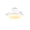 Reality plafoniera bianca con ventilatore Kiruna, LED, luce regolabile 2700-6500 Kelvin