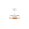 Reality ventilatore bianco Volda LED, temperatura di colore regolabile 2700-6500 Kelvin