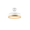 Reality ventilatore bianco Volda LED, temperatura di colore regolabile 2700-6500 Kelvin