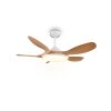 Reality plafoniera LED Flen, dimmerabile con telecomando, luce regolabile 2700-6500 Kelvin