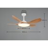 Reality plafoniera LED Flen, dimmerabile con telecomando, luce regolabile 2700-6500 Kelvin