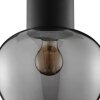 Brilliant Plafoniera moderna Ligari con paralume in vetro grigio fumo a forma di goccia