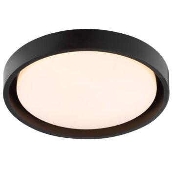 Brilliant Leuchten plafoniera LED Sonora piatta e rotonda, 3000 Kelvin bianco caldo