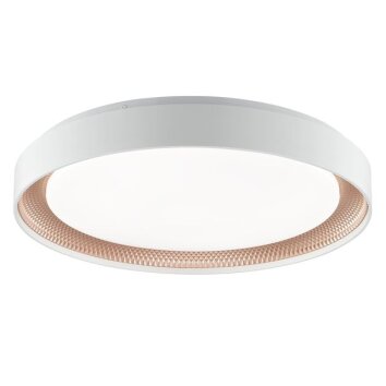 Brilliant Plafoniera LED Waldo, dimmerabile con telecomando, luce regolabile 3000-6500 Kelvin