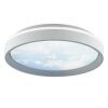 Brilliant plafoniera LED Sky-Dream, temperatura di colore regolabile 3000-6500 Kelvin