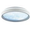 Brilliant plafoniera LED Sky-Dream, temperatura di colore regolabile 3000-6500 Kelvin
