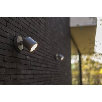 Lutec Explorer Applique da esterno LED Antracite, 1-Luce