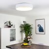 Kampala Plafoniera LED Bianco, 1-Luce