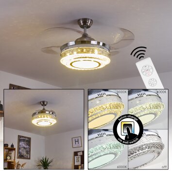 Bendigo ventilatore da soffitto LED Nichel opaco, Trasparente, chiaro, 1-Luce
