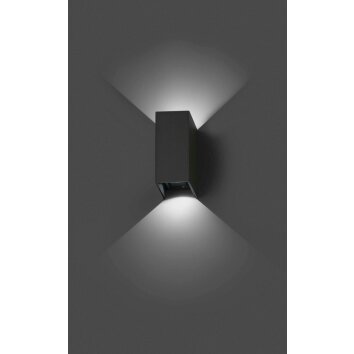Faro Blind Applique per esterno LED Antracite, 2-Luci