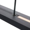 Steinhauer Zelena Lampadario a sospensione LED Nero, 1-Luce