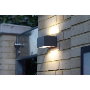 Lutec by Eco Light Applique per esterno LED Antracite, 1-Luce