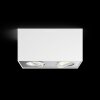 Philips Box Plafoniera LED Bianco, 2-Luci