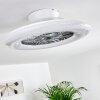Petrovac ventilatore da soffitto LED Cromo, Bianco, 1-Luce, Telecomando