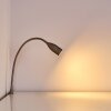 Alsea Lampada da comodino LED Nichel opaco, 1-Luce, Sensori di movimento