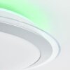 Brilliant Dinos Plafoniera LED Argento, 1-Luce, Telecomando, Cambia colore