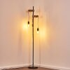 Barbengo Lampada da terra Marrone, Nero, 2-Luci