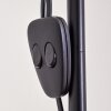 Barbengo Lampada da terra Marrone, Nero, 2-Luci