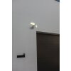 Lutec Arc Applique da esterno LED Bianco, 1-Luce, Sensori di movimento