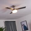 Vevey ventilatore da soffitto Legno chiaro, Nichel opaco, Argento, 2-Luci, Telecomando