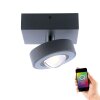 Plafoniera Paul Neuhaus Q-MIA LED Antracite, 1-Luce, Telecomando