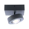 Plafoniera Paul Neuhaus Q-MIA LED Antracite, 1-Luce, Telecomando