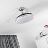 Bendigo ventilatore da soffitto LED Cromo, 1-Luce