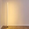 Pipe Lampada da terra LED Nichel opaco, 1-Luce, Telecomando, Cambia colore