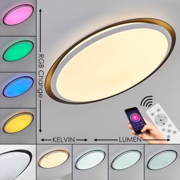 Vejle Plafoniera LED Bianco, 2-Luci, Cambia colore