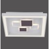 Plafoniera Paul Neuhaus ELIZA LED Bianco, 1-Luce